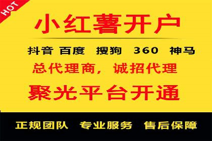 电商平台信息流广告的投放策略与效果评估案例
