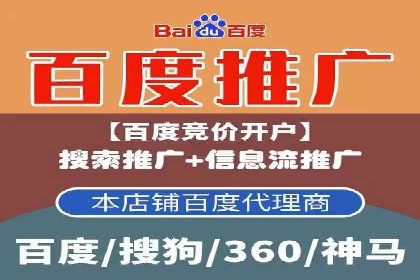 竞价排名在搜索引擎营销中的运用案例